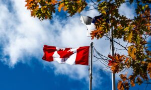 Canadian flag waving beside autumn leaves
